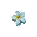 MILA-PISTAGE FLORAL CLIPS