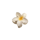MILA-PISTAGE FLORAL CLIPS