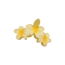 LUCY-SOFT FLORAL CLIPS