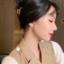 vol Earrings