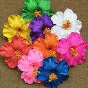Hawaiian Colorful Flower Hair Clip