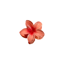 MILA-PISTAGE FLORAL CLIPS