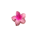 MILA-PISTAGE FLORAL CLIPS