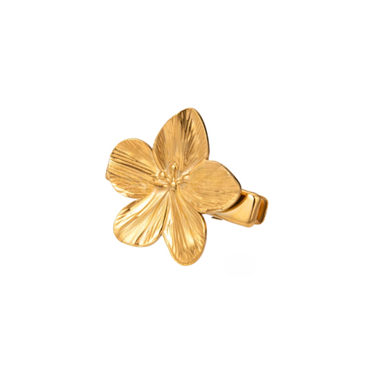 AURORA-METAL CHARM
