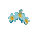 LUCY-SOFT FLORAL CLIPS